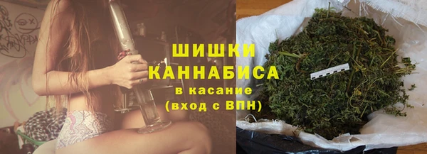 молекула духа Покровск