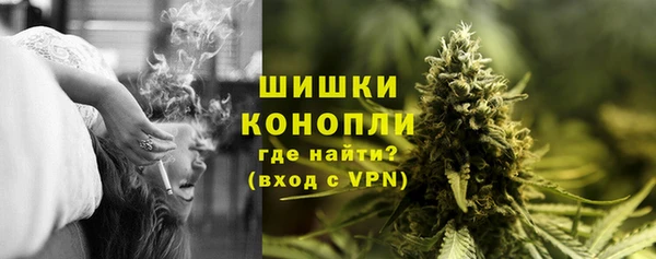 молекула духа Покровск