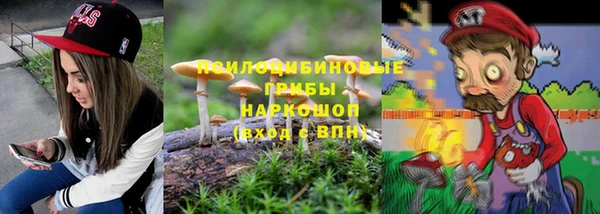 молекула духа Покровск