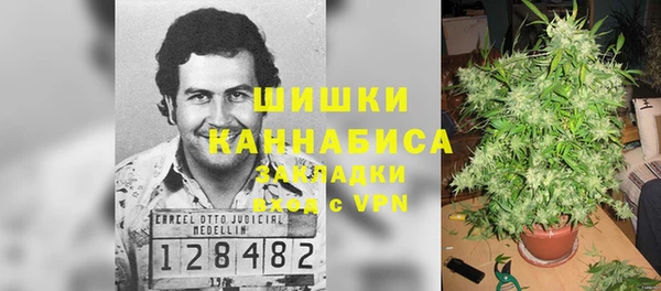 соль ск Дегтярск