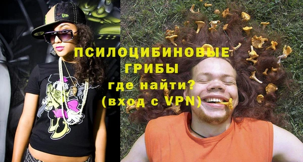 молекула духа Покровск