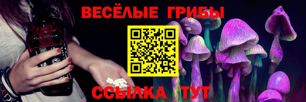 Псилоцибиновые грибы Cubensis  Вход с VPN  как найти наркотики  Россошь 